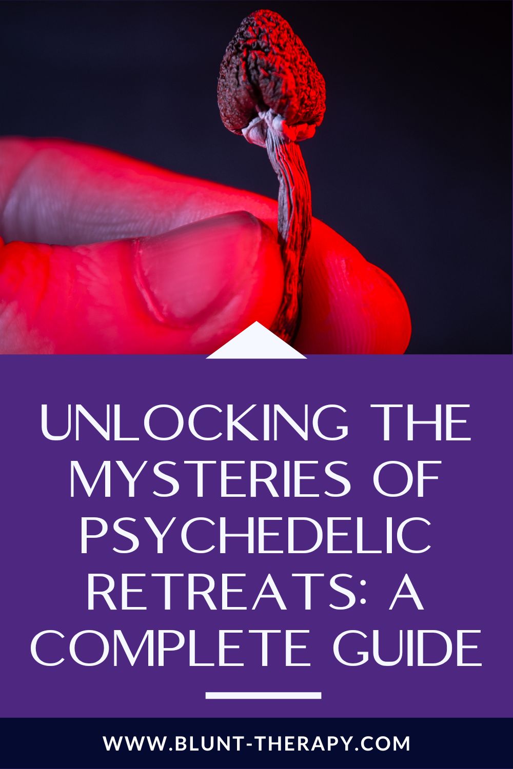 Unlocking the Mysteries of Psychedelic Retreats: A Complete Guide